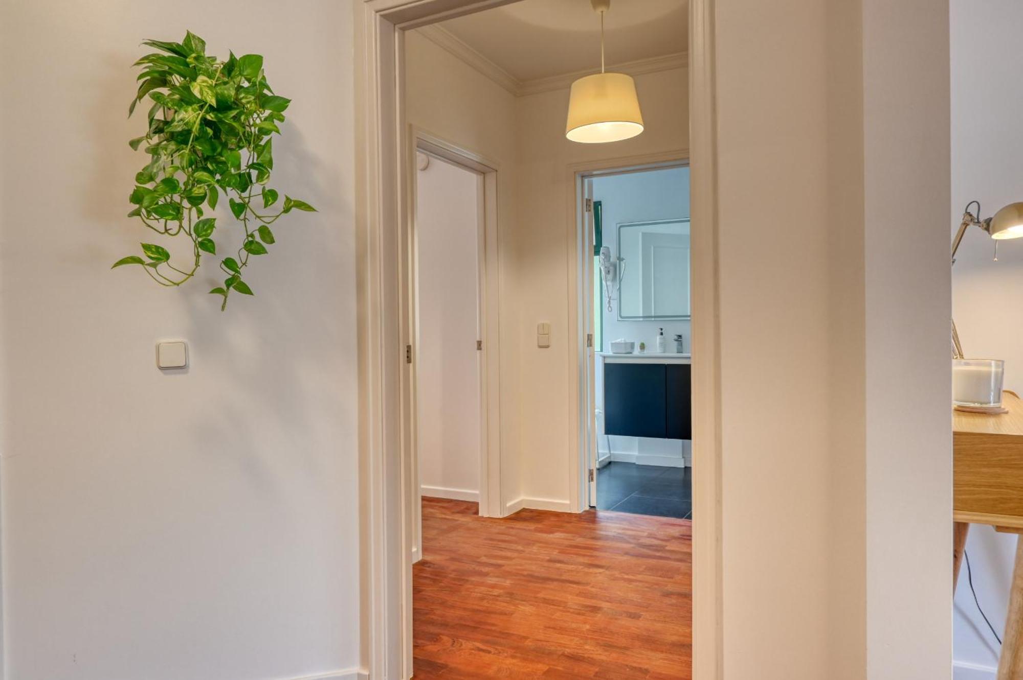 פונשל Encarnacao Apartment, A Home In Madeira מראה חיצוני תמונה